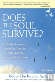 Does The Soul Survive? (2nd Edition)