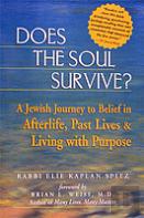 Does The Soul Survive?