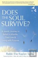 Does The Soul Survive?