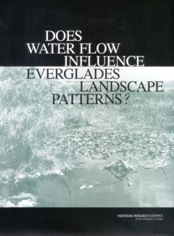 Bertrand.pt - Does Water Flow Influence Everglades Landscape Patterns?