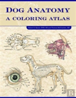 Bertrand.pt - Dog Anatomy