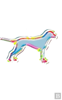 Bertrand.pt - Dog  Art Themed  Blank  Creative  Journal
