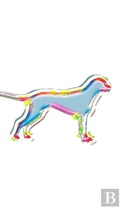 Dog  Art Themed  Blank  Creative  Journal