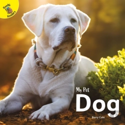 Bertrand.pt - Dog