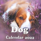 Dog Calendar 2022