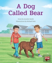 Dog Called Bear