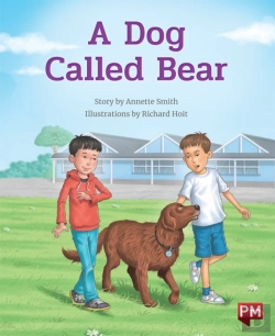 Bertrand.pt - Dog Called Bear
