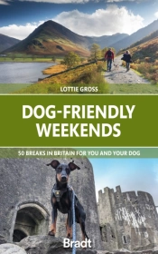 Dog-Friendly Weekends