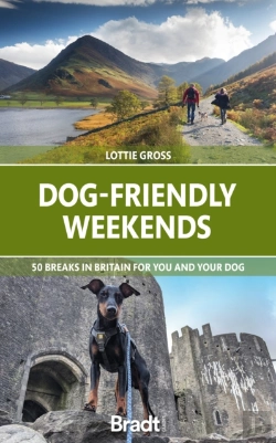 Bertrand.pt - Dog-Friendly Weekends