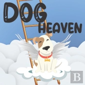 Dog Heaven