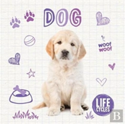 Bertrand.pt - Dog