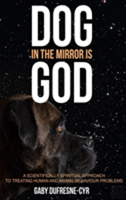 Bertrand.pt - Dog In The Mirror Is God
