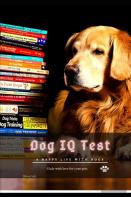 Dog Iq Test