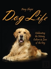Dog Life