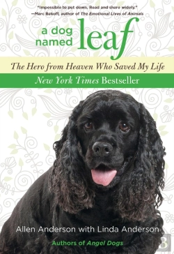 Bertrand.pt - Dog Named Leaf