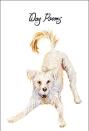 Dog Poems