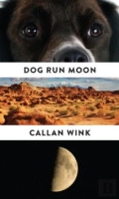 Dog Run Moon