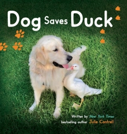 Bertrand.pt - Dog Saves Duck