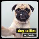 Dog Selfies