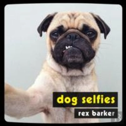 Bertrand.pt - Dog Selfies