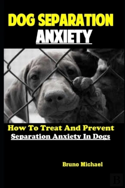 Bertrand.pt - Dog Separation Anxiety