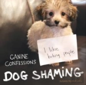 Dog Shaming