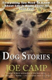 Dog Stories