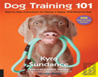 Dog Training 101