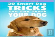 Dog Training