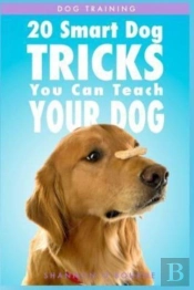 Dog Training