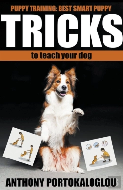 Bertrand.pt - Dog Tricks: Best Smart Dog Tricks To Tea