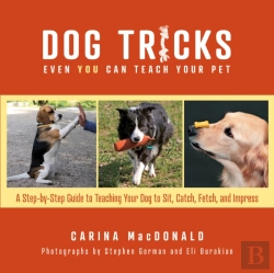 Bertrand.pt - Dog Tricks Even You Can Teach Your Pet