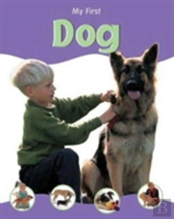 Bertrand.pt - Dog