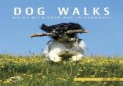 Dog Walks In Cornwall