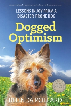 Bertrand.pt - Dogged Optimism