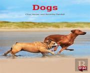 Dogs