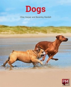 Bertrand.pt - Dogs