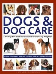 Dogs & Dog Care