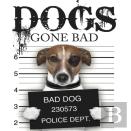 Dogs Gone Bad