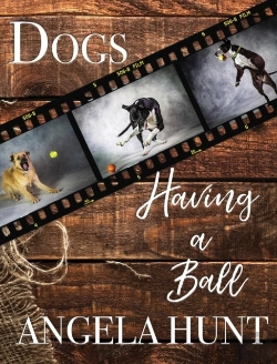 Bertrand.pt - Dogs Having A Ball