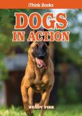 Dogs In Action