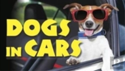 Bertrand.pt - Dogs In Cars