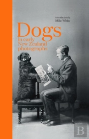 Dogs In Early New Zealand Photographs
