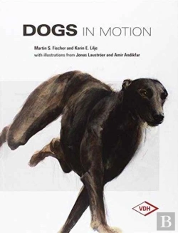 Bertrand.pt - Dogs In Motion