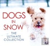 Dogs In Snow - The Ultimate Collection