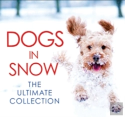 Bertrand.pt - Dogs In Snow - The Ultimate Collection