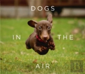 Dogs In The Air