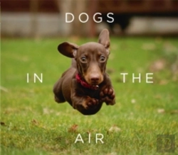 Bertrand.pt - Dogs In The Air