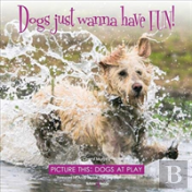 Dogs Just Wanna Have Fun!