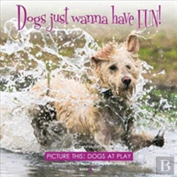 Bertrand.pt - Dogs Just Wanna Have Fun!